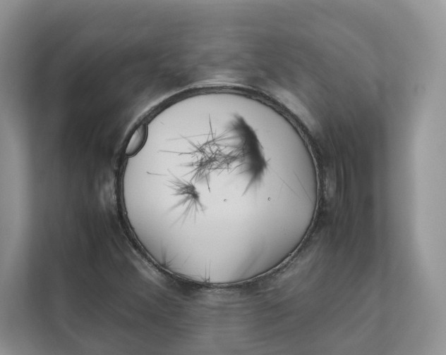 X0000111351356200907310943