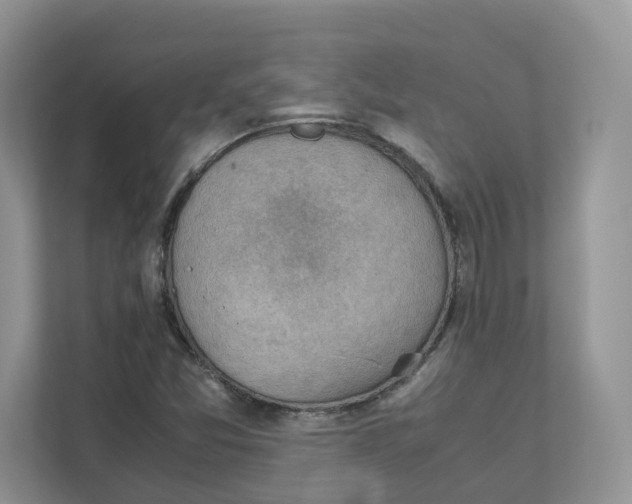 X0000111351357200907310943