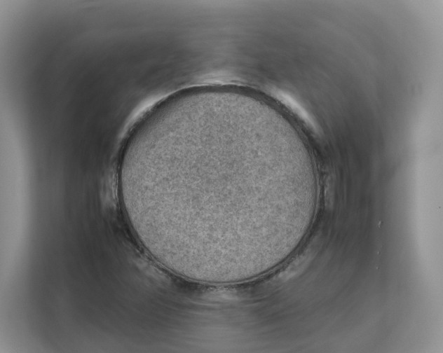 X0000111351358200907310943