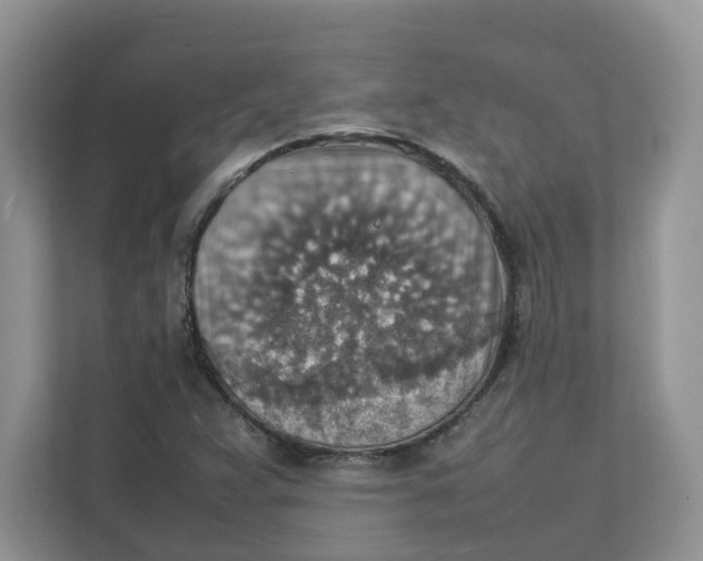 X0000111351359200907310943