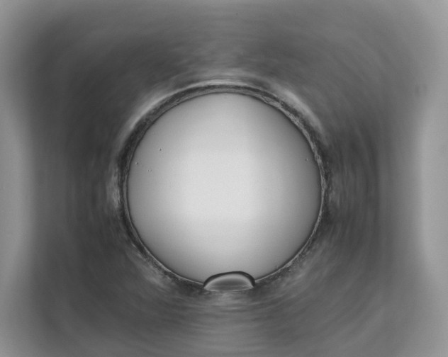 X0000111351360200907310943