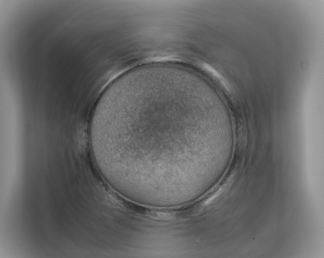 X0000111351361200907310943