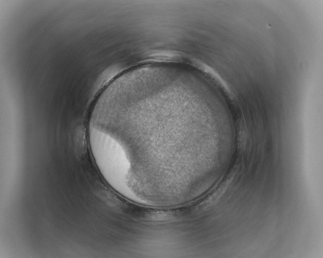 X0000111351362200907310943