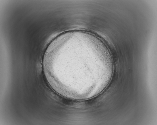 X0000111351363200907310943