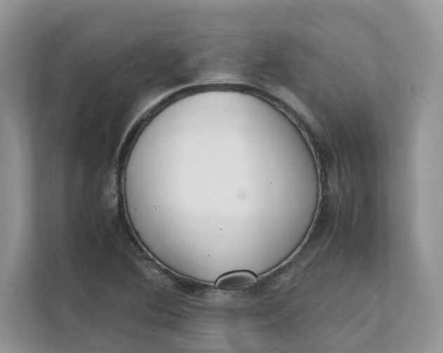 X0000111351364200907310943