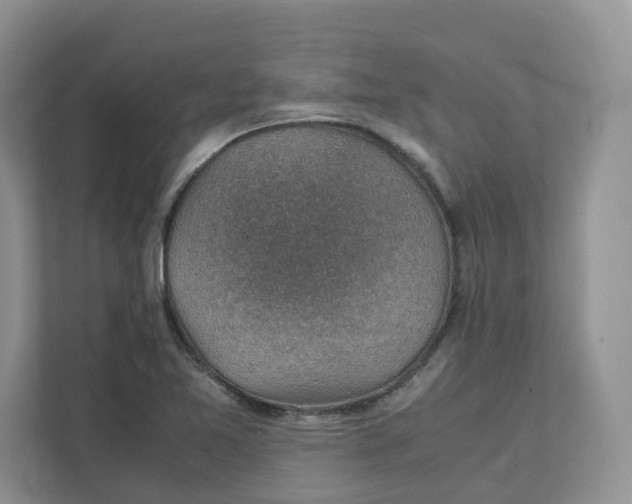 X0000111351365200907310943