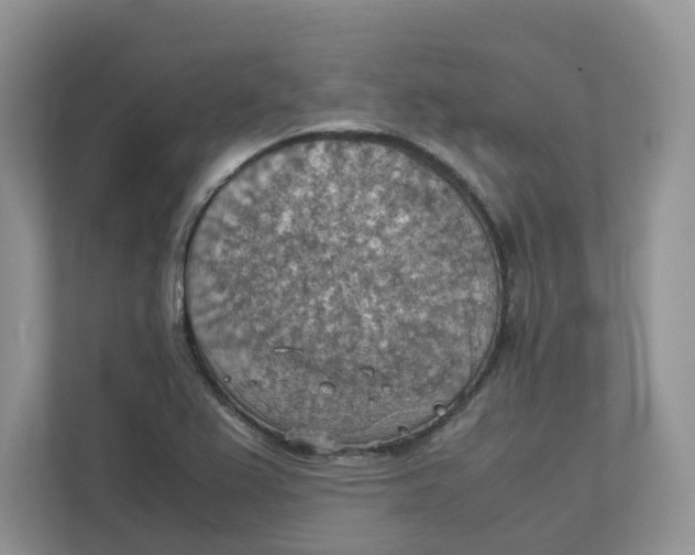 X0000111351367200907310943