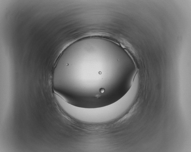 X0000111351369200907310943