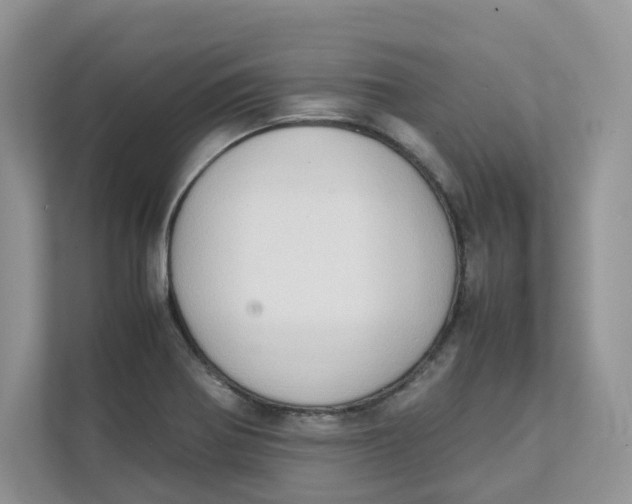 X0000111351370200907310943