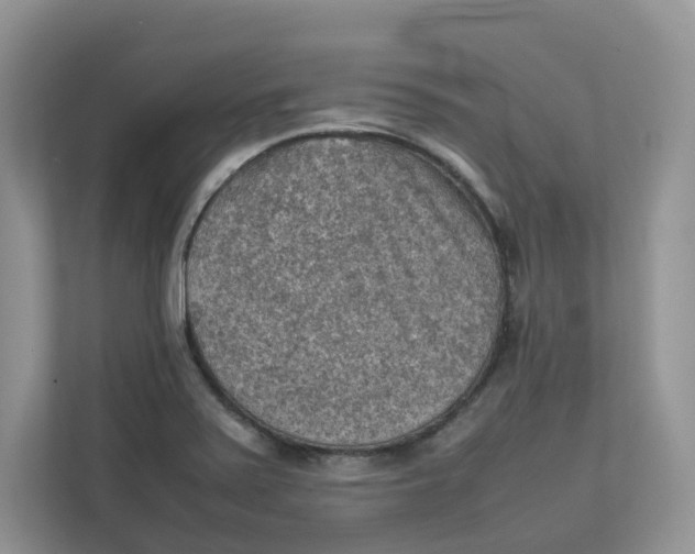 X0000111351371200907310943