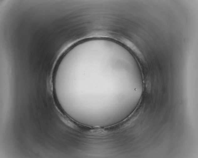 X0000111351372200907310943