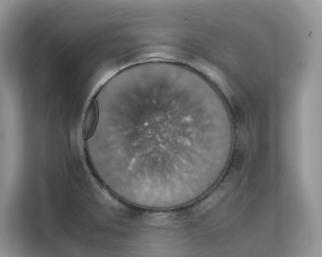 X0000111351373200907310943