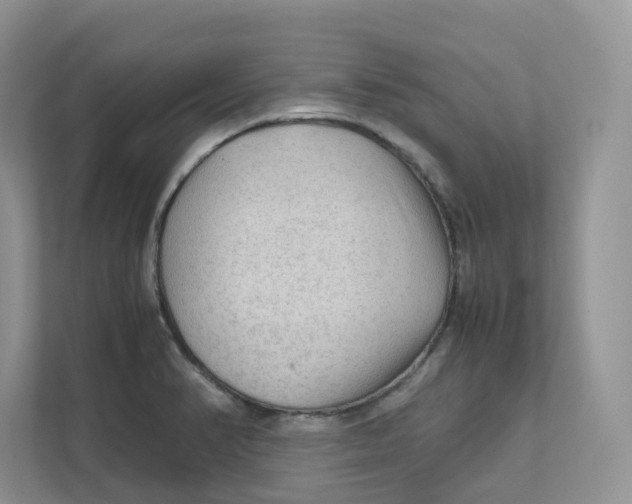 X0000111351374200907310943