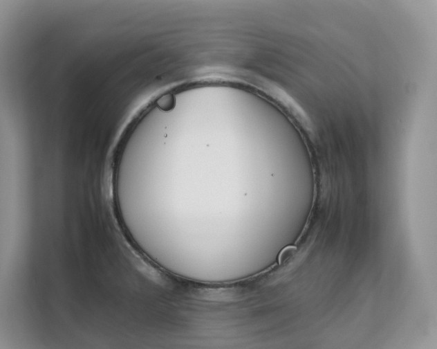 X0000111351376200907310943