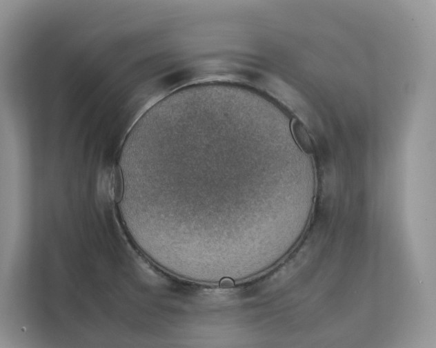 X0000111351377200907310943