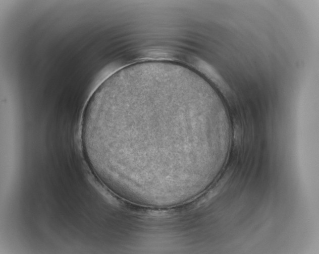 X0000111351378200907310943