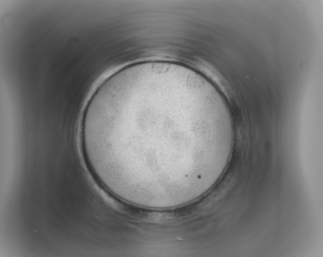 X0000111351379200907310943