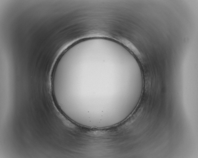 X0000111351380200907310943