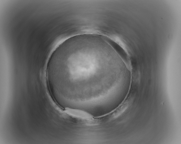 X0000111351381200907310943