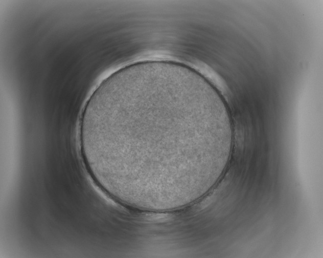 X0000111351382200907310943