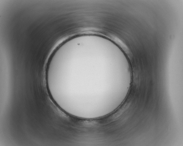 X0000111351384200907310943