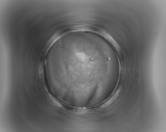 X0000111351385200907310943