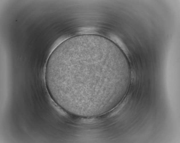 X0000111351386200907310943