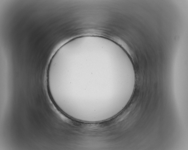 X0000111351387200907310943