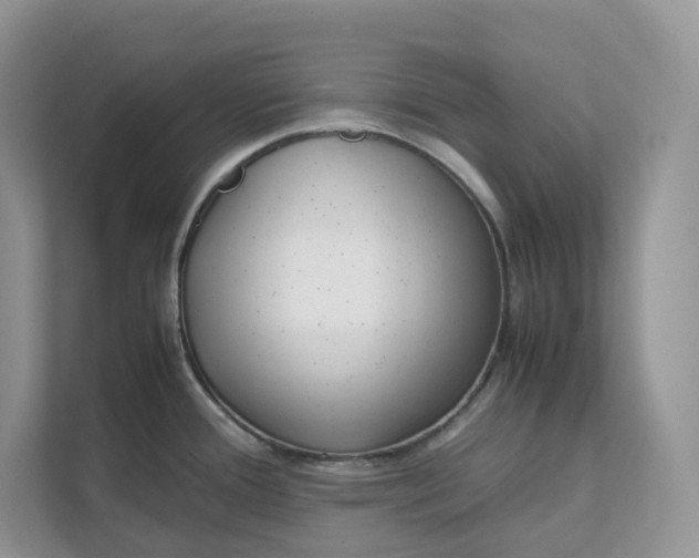 X0000111351388200907310943