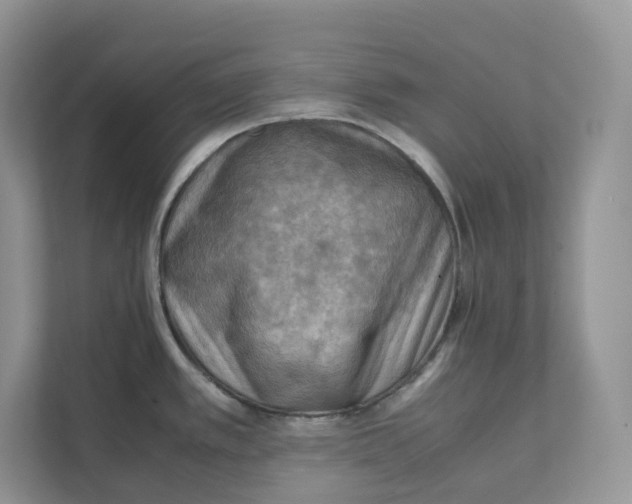 X0000111351389200907310943