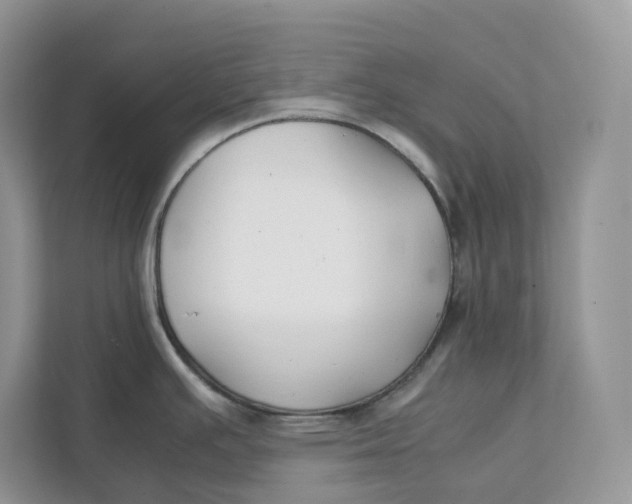 X0000111351391200907310943