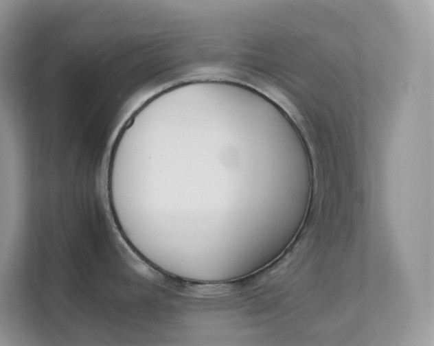 X0000111351392200907310943