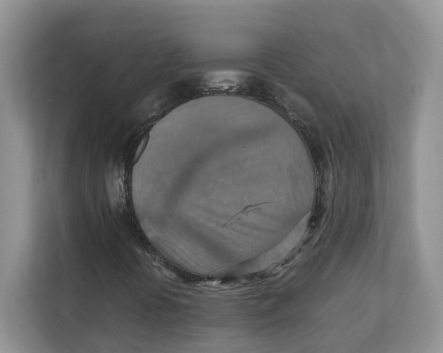 X0000111351394200907310942