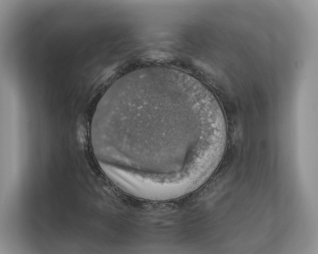 X0000111351397200907310942