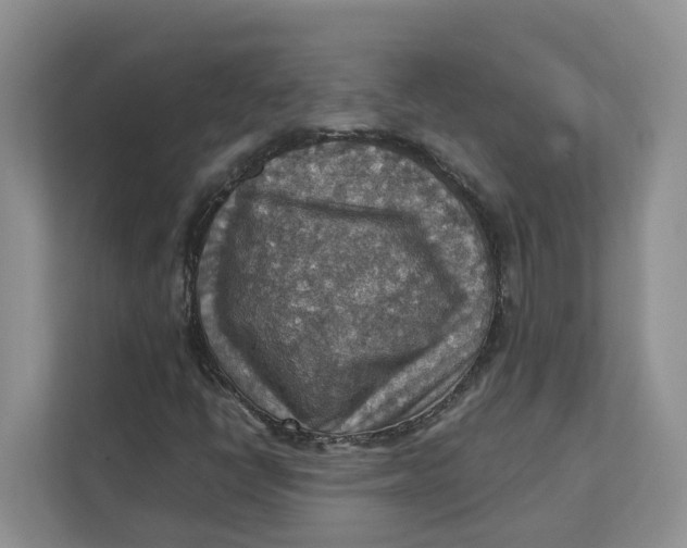 X0000111351398200907310942