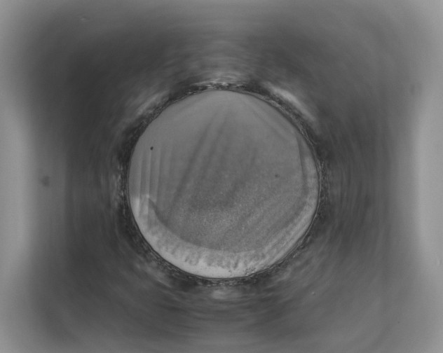 X0000111351399200907310942