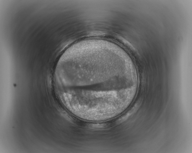 X0000111351401200907310942