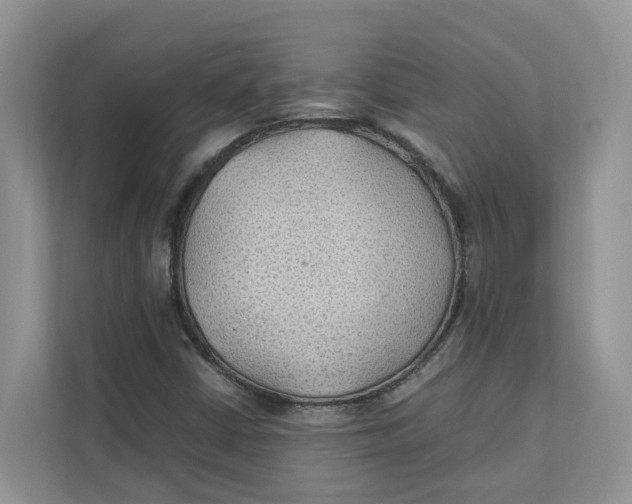 X0000111351402200907310942