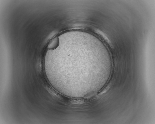 X0000111351403200907310943