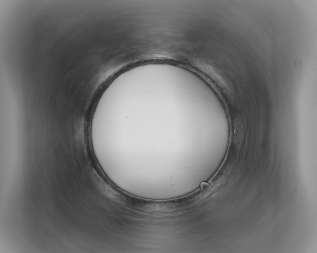 X0000111351404200907310943