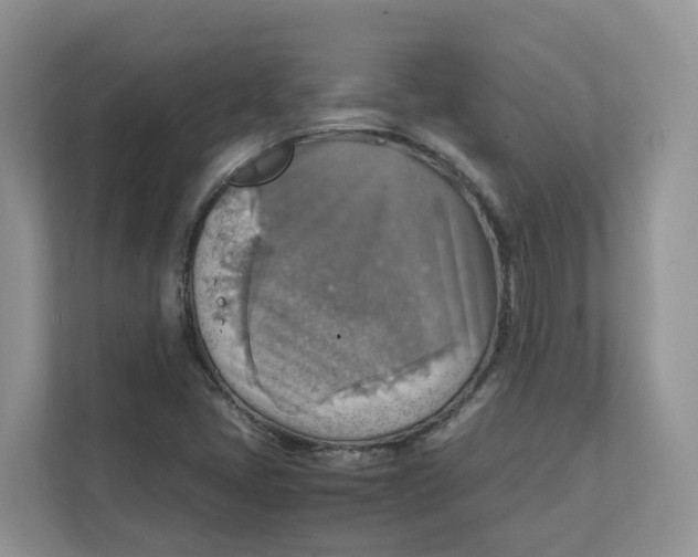 X0000111351405200907310943