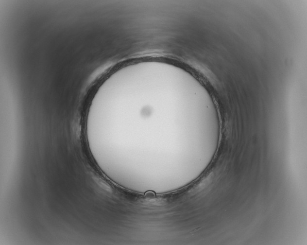 X0000111351406200907310943