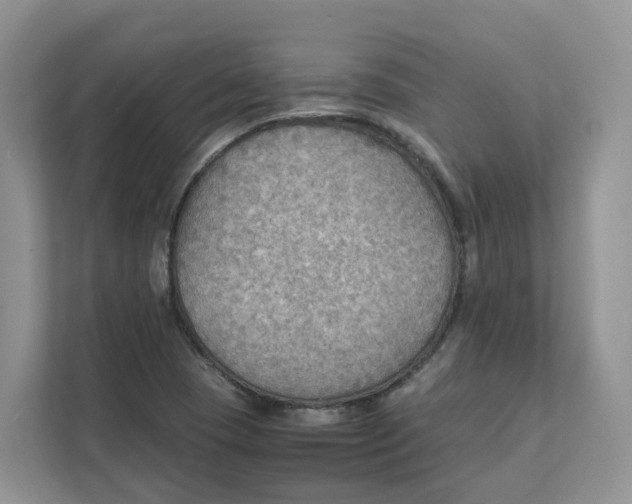 X0000111351409200907310943