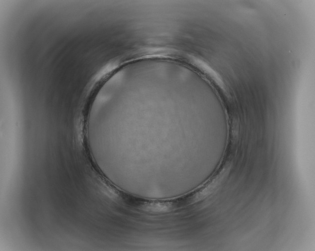 X0000111351411200907310943