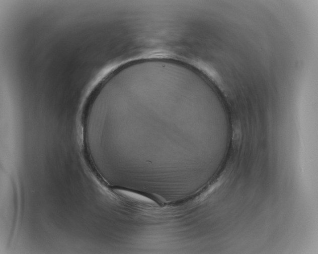 X0000111351414200907310943