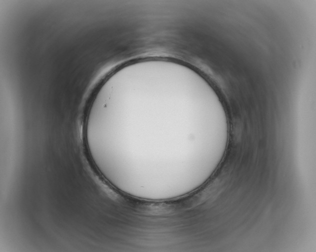 X0000111351416200907310943