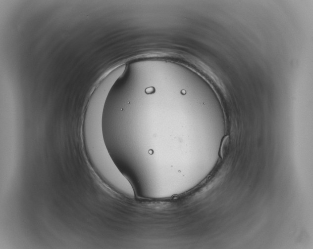 X0000111351417200907310943