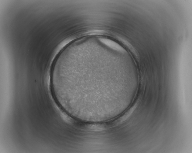 X0000111351418200907310943