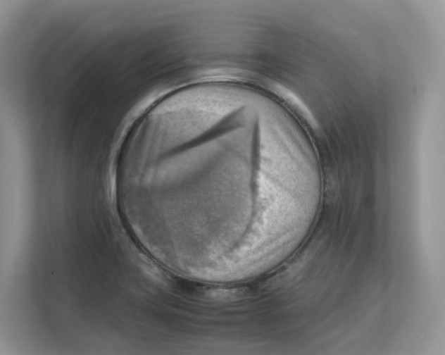 X0000111351419200907310943