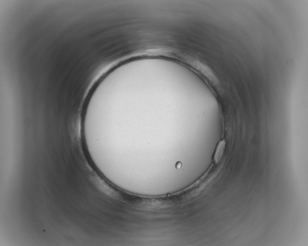 X0000111351420200907310943